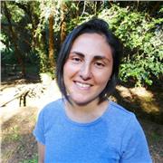 No he dictado clases